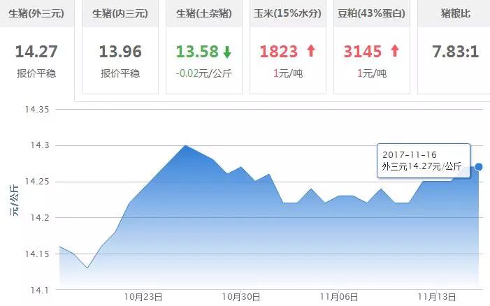 2024年11月16日 第128页