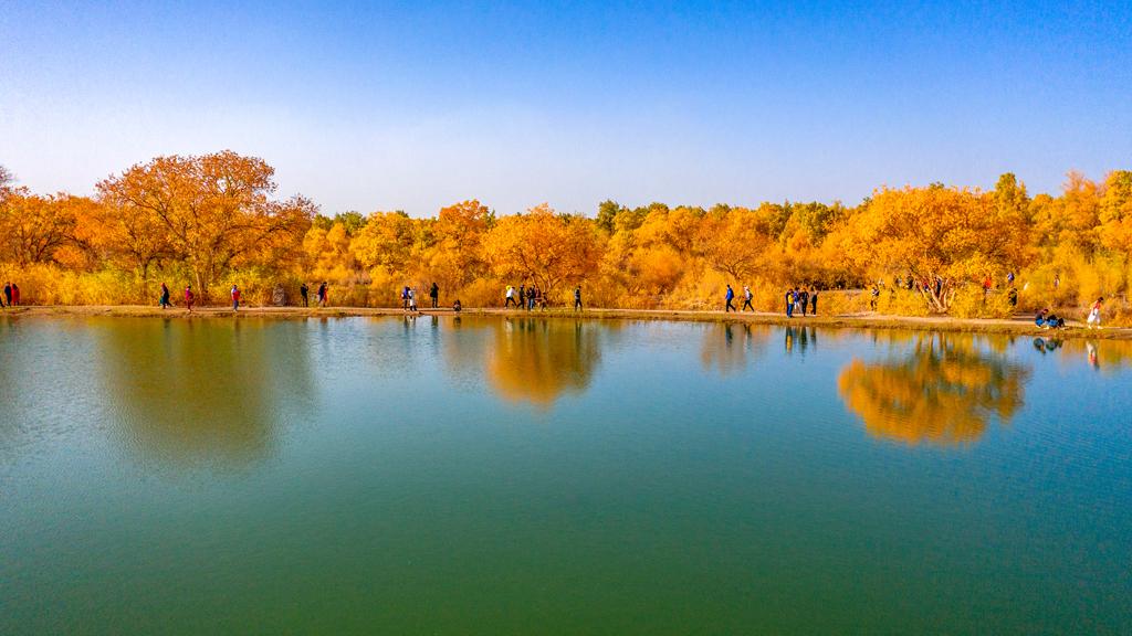 11月16日启程，与大自然共舞的日子，寻找内心平静的旅程之旅