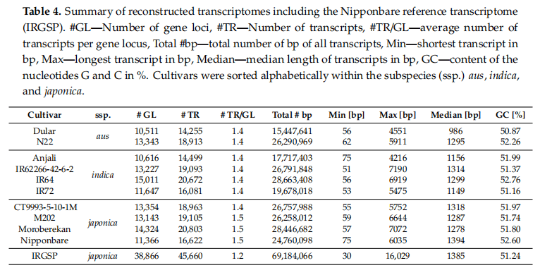 新澳最新最快资料新澳50期,灵活实施计划_KNH3.33.26连续版