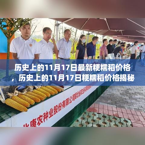 揭秘历史粳糯稻价格，揭秘历史上的11月17日粳糯稻价格走势分析