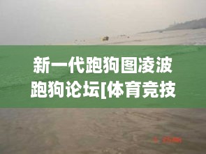 新一代跑狗图凌波跑狗论坛[体育竞技](2024,实地考察分析数据_AZV9.75.80科技版