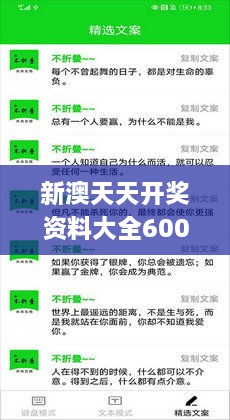 新澳天天开奖资料大全600Tk173,实践落实方案_RTW2.58.42零障碍版