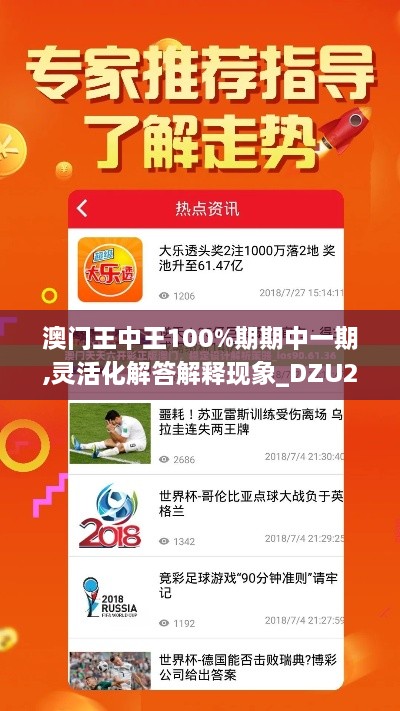 澳门王中王100%期期中一期,灵活化解答解释现象_DZU2.43.96竞技版