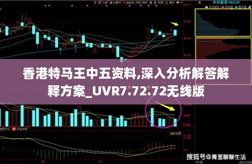 香港特马王中五资料,深入分析解答解释方案_UVR7.72.72无线版