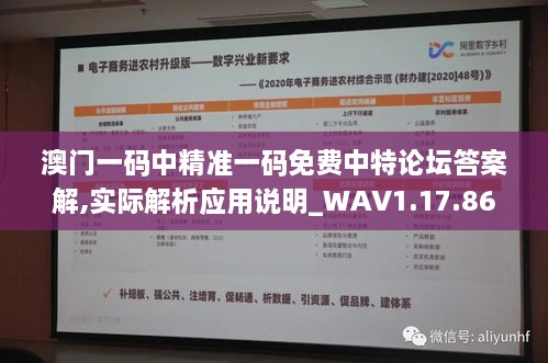 澳门一码中精准一码免费中特论坛答案解,实际解析应用说明_WAV1.17.86最佳版