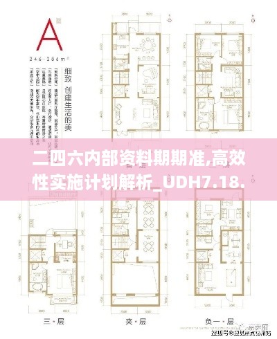 二四六内部资料期期准,高效性实施计划解析_UDH7.18.89穿戴版