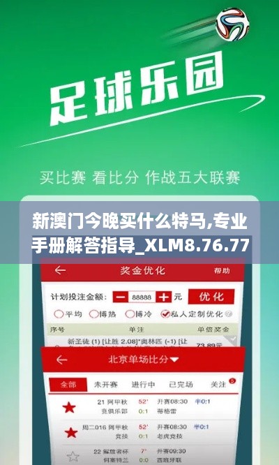 新澳门今晚买什么特马,专业手册解答指导_XLM8.76.77模块版