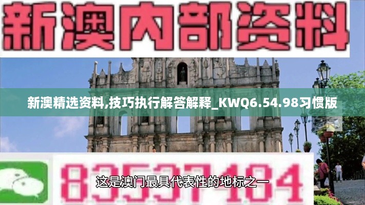 新澳精选资料,技巧执行解答解释_KWQ6.54.98习惯版