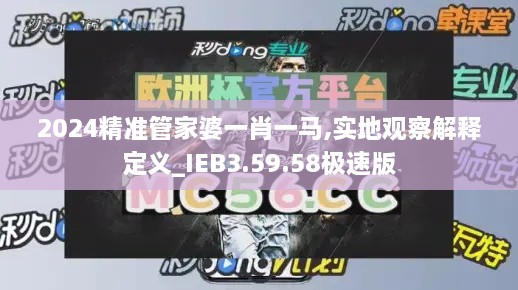 2024精准管家婆一肖一马,实地观察解释定义_IEB3.59.58极速版