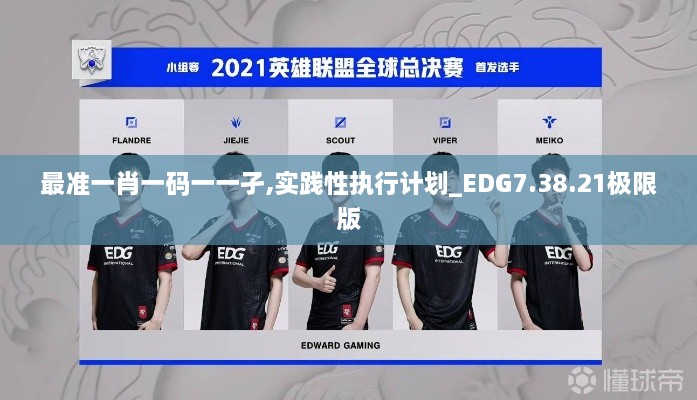 最准一肖一码一一孑,实践性执行计划_EDG7.38.21极限版