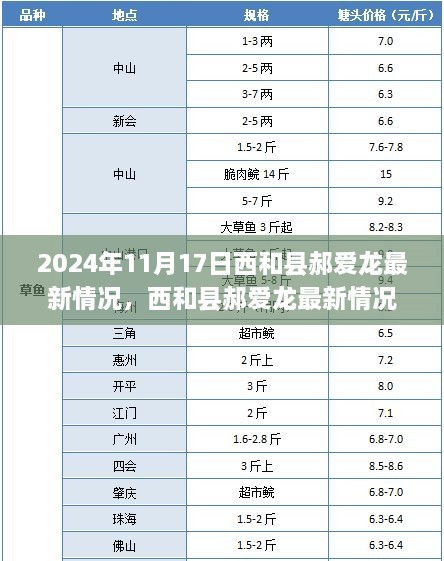 2024年11月17日西和县郝爱龙最新情况，西和县郝爱龙最新情况解析，观点阐述与深度探讨