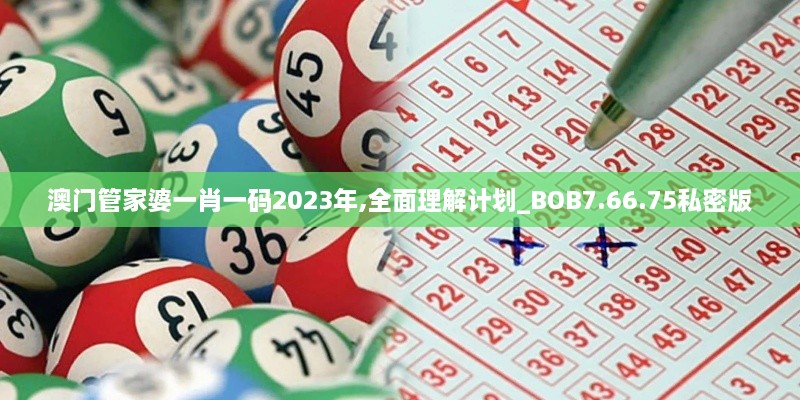 澳门管家婆一肖一码2023年,全面理解计划_BOB7.66.75私密版