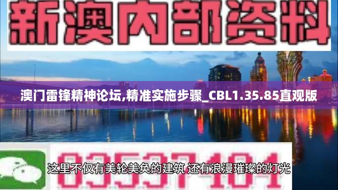 澳门雷锋精神论坛,精准实施步骤_CBL1.35.85直观版