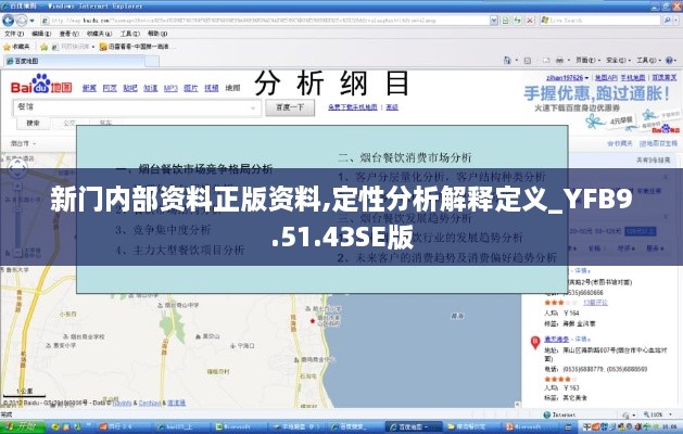 新门内部资料正版资料,定性分析解释定义_YFB9.51.43SE版