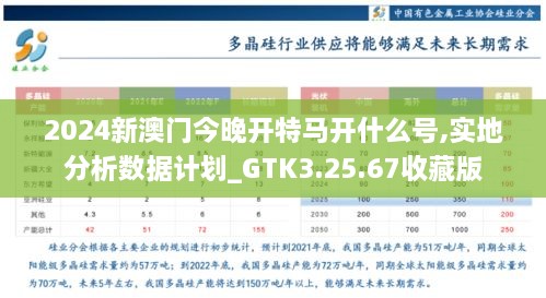 2024新澳门今晚开特马开什么号,实地分析数据计划_GTK3.25.67收藏版