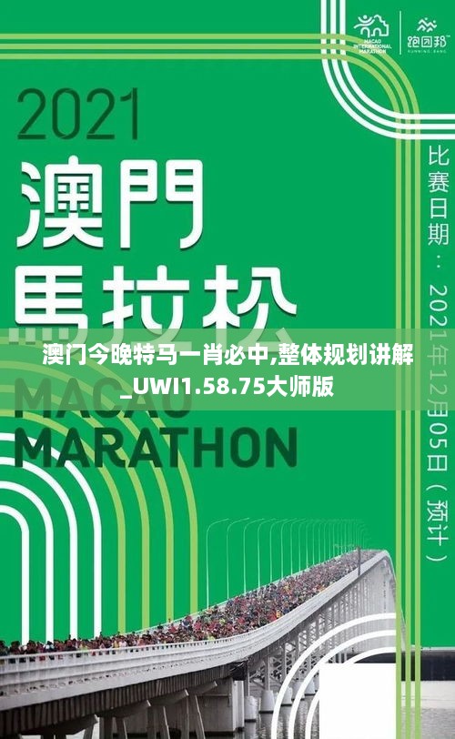 澳门今晚特马一肖必中,整体规划讲解_UWI1.58.75大师版