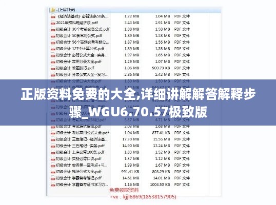 正版资料免费的大全,详细讲解解答解释步骤_WGU6.70.57极致版