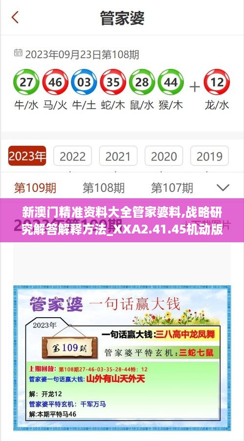 新澳门精准资料大全管家婆料,战略研究解答解释方法_XXA2.41.45机动版