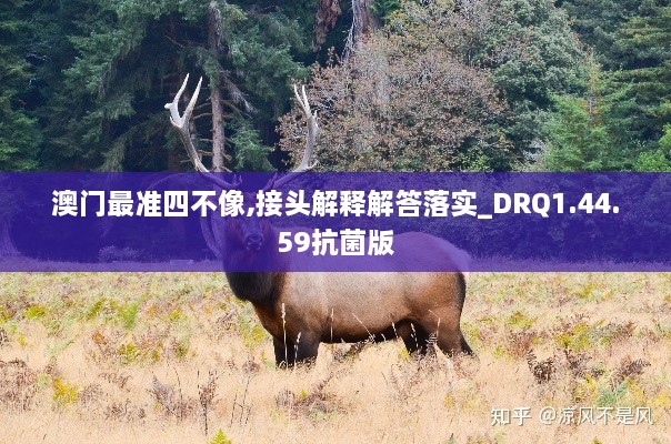 澳门最准四不像,接头解释解答落实_DRQ1.44.59抗菌版