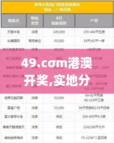 49.cσm港澳开奖,实地分析数据方案_YFO8.56.65运动版