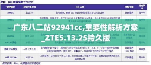 广东八二站92941cc,重要性解析方案_ZTE5.13.25持久版