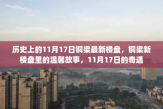 铜梁新楼盘的温馨故事与奇遇，历史视角下的11月17日