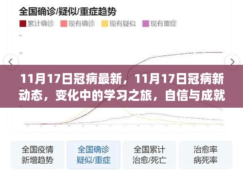 11月17日冠状病毒最新动态，学习之旅中的变化与积极人生的拥抱