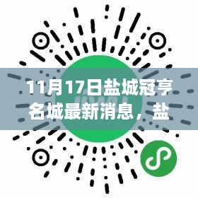 盐城冠亨名城最新动态揭秘，11月17日的瞩目焦点与深远影响