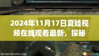 涉黄警告，夏娃视频小屋探秘，独特观影新体验需谨慎对待