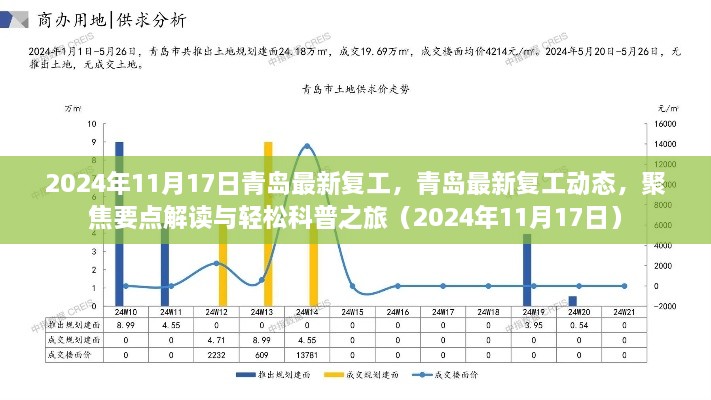 聚焦青岛复工动态，最新解读与轻松科普之旅（2024年11月）