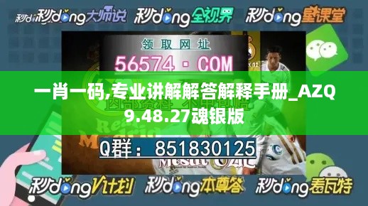 一肖一码,专业讲解解答解释手册_AZQ9.48.27魂银版