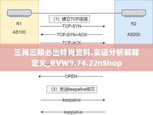 三肖三期必出特肖资料,实证分析解释定义_RVW9.74.22nShop