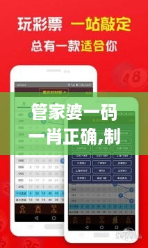 管家婆一码一肖正确,制定评分表_FDS9.47.49加速版