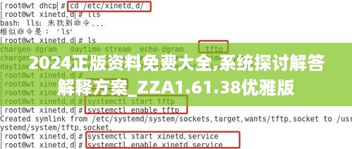 2024正版资料免费大全,系统探讨解答解释方案_ZZA1.61.38优雅版