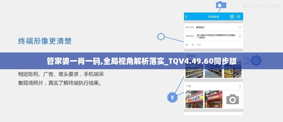 管家婆一肖一码,全局视角解析落实_TQV4.49.60同步版