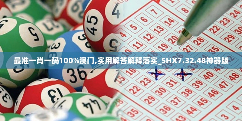 最准一肖一码100%澳门,实用解答解释落实_SHX7.32.48神器版