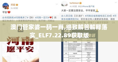 澳门管家婆一码一肖,细致解答解释落实_ELF7.22.89获取版