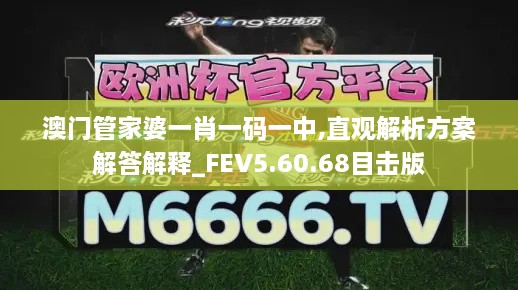 澳门管家婆一肖一码一中,直观解析方案解答解释_FEV5.60.68目击版