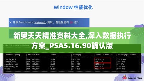 新奥天天精准资料大全,深入数据执行方案_PSA5.16.90确认版