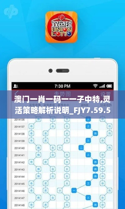 澳门一肖一码一一子中特,灵活策略解析说明_FJY7.59.52精致生活版