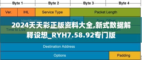 2024天天彩正版资料大全,新式数据解释设想_RYH7.58.92专门版