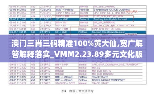 澳门三肖三码精准100%黄大仙,宽广解答解释落实_VMM2.23.89多元文化版