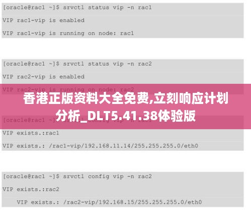 香港正版资料大全免费,立刻响应计划分析_DLT5.41.38体验版