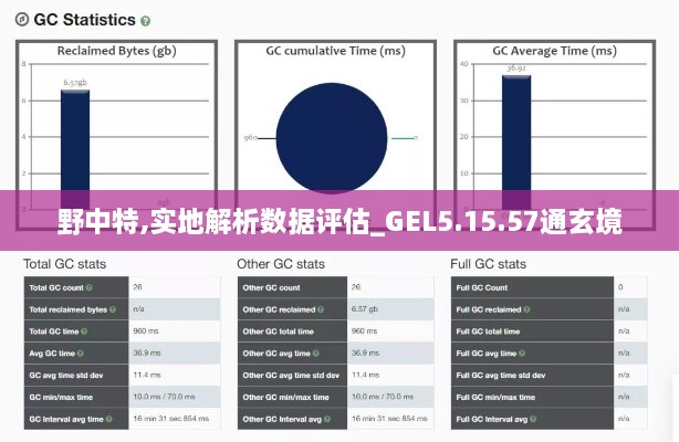 野中特,实地解析数据评估_GEL5.15.57通玄境