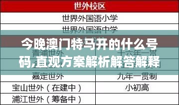 今晚澳门特马开的什么号码,直观方案解析解答解释_KRV2.59.35权限版