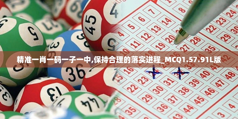 精准一肖一码一子一中,保持合理的落实进程_MCQ1.57.91L版