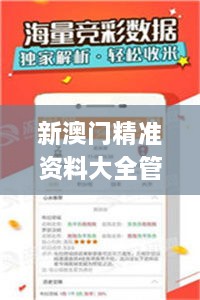 新澳门精准资料大全管家婆料,高效执行解答解释措施_AOE8.35.86极速版