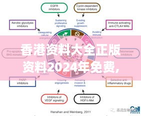 香港资料大全正版资料2024年免费,结构方案解析解答解释_IVP4.44.71公开版