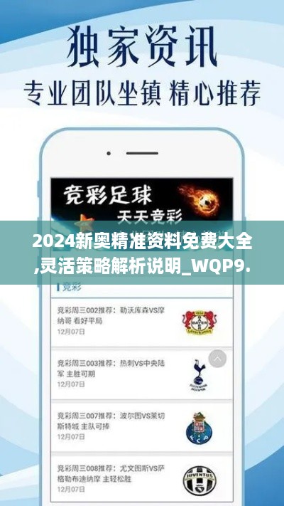 2024新奥精准资料免费大全,灵活策略解析说明_WQP9.37.89经济版