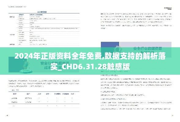 2024年正版资料全年免费,数据支持的解析落实_CHD6.31.28触感版